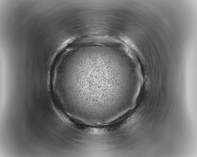 X0000087060442200705021220