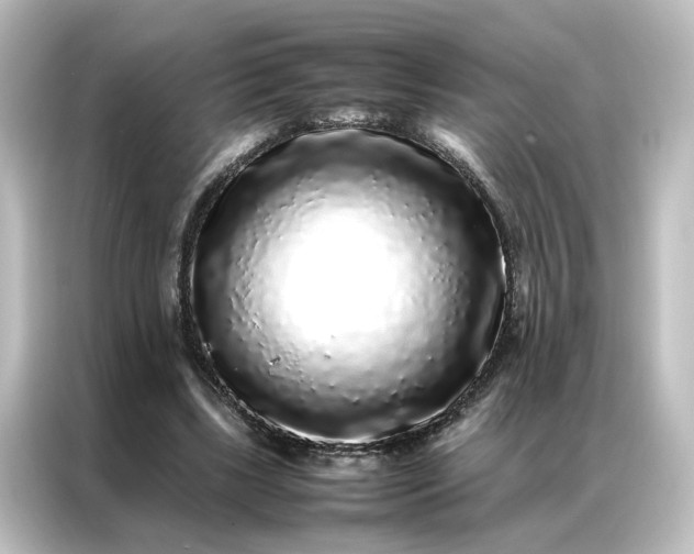 X0000087060443200705021220