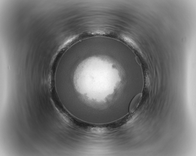 X0000087060444200705021220