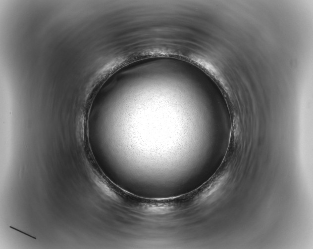 X0000087060445200705021220