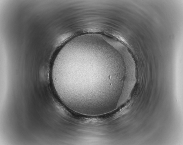 X0000087060446200705021220