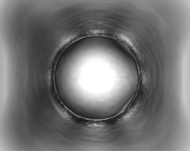 X0000087060447200705021220