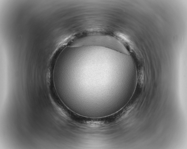 X0000087060448200705021220