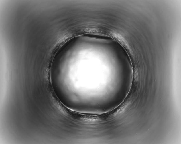 X0000087060449200705021220