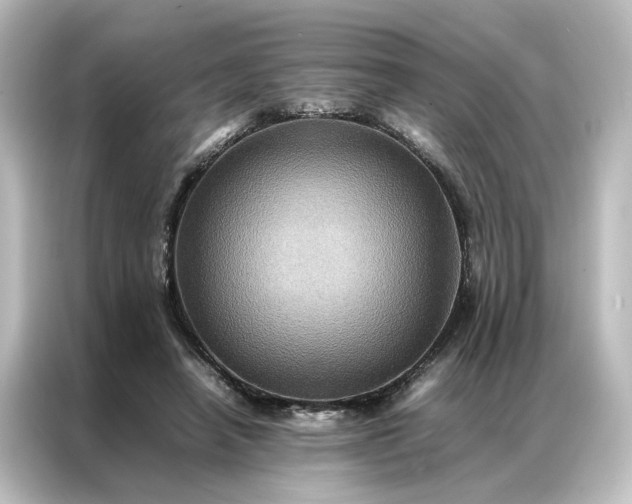 X0000087060450200705021220