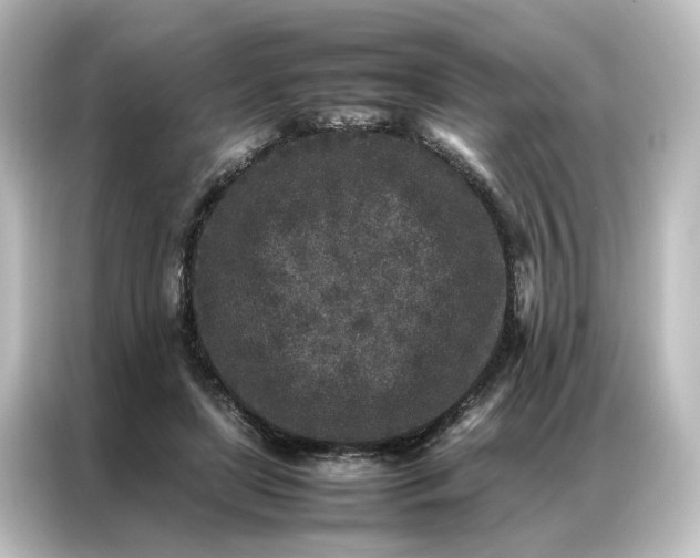 X0000087060451200705021220