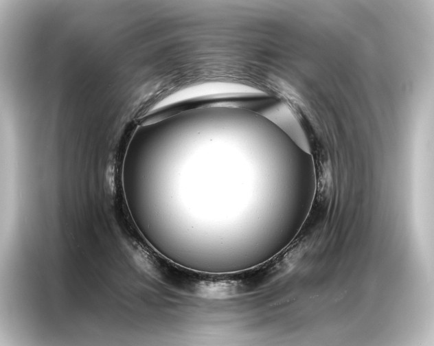 X0000087060452200705021220