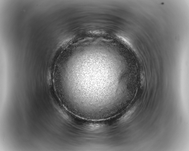 X0000087060453200705021220