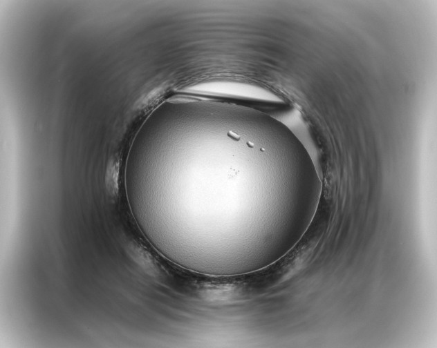 X0000087060454200705021220