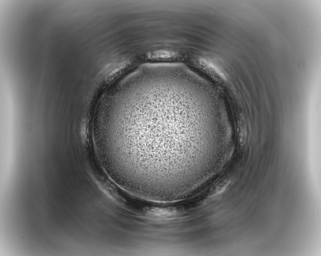 X0000087060455200705021220