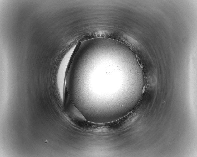 X0000087060456200705021220