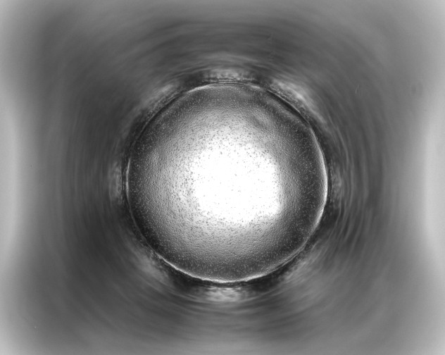 X0000087060457200705021220