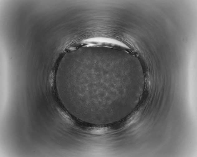 X0000087060458200705021220