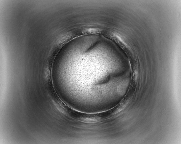 X0000087060459200705021220