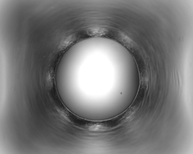 X0000087060460200705021220