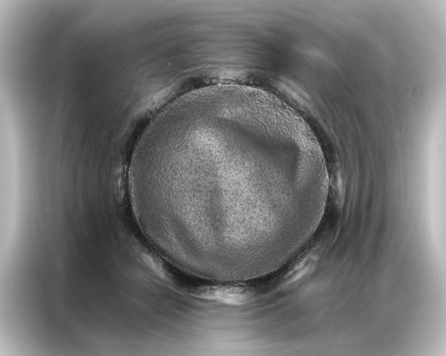 X0000087060462200705021220