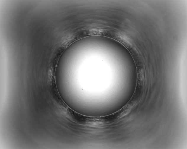 X0000087060463200705021220