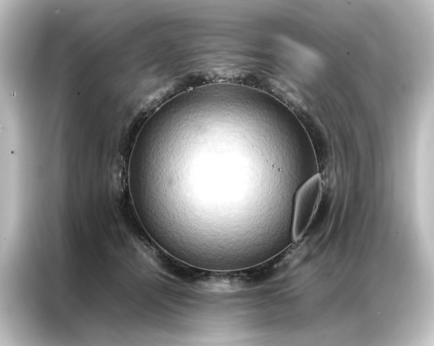 X0000087060464200705021220