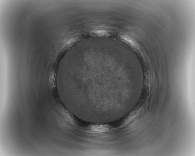 X0000087060465200705021220