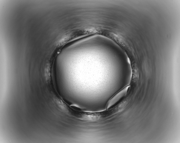 X0000087060466200705021220