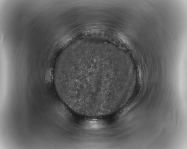 X0000087060467200705021220