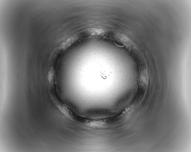 X0000087060468200705021220