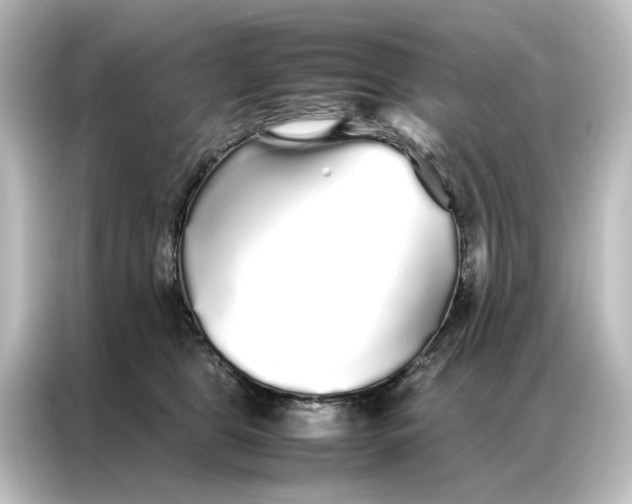 X0000087060469200705021220