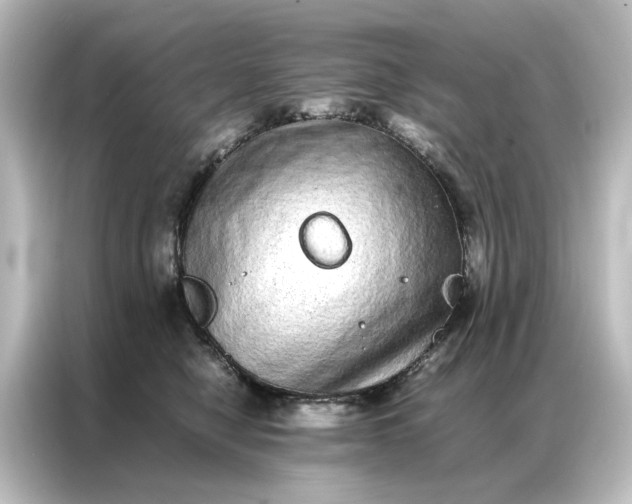 X0000087060470200705021220