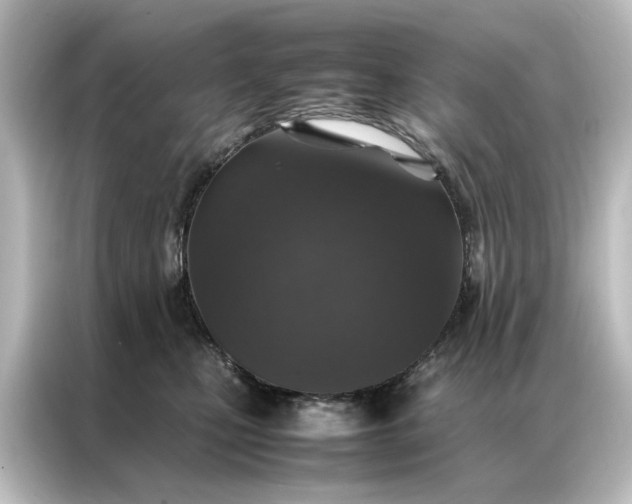 X0000087060471200705021220