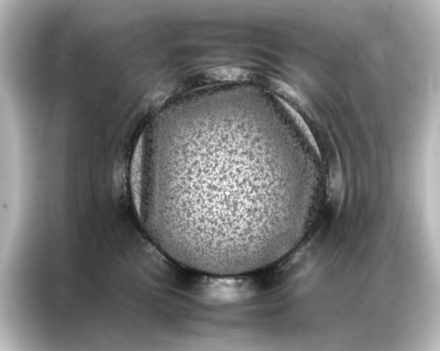 X0000087060473200705021220