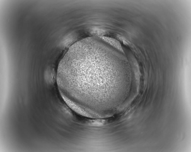 X0000087060474200705021220