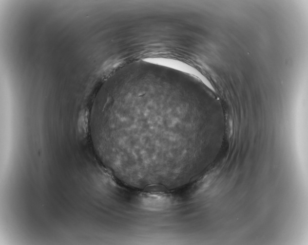 X0000087060475200705021220