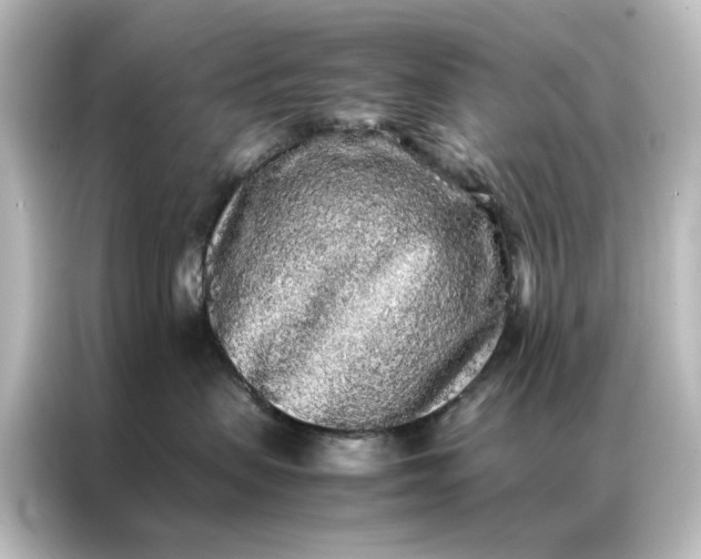 X0000087060479200705021220