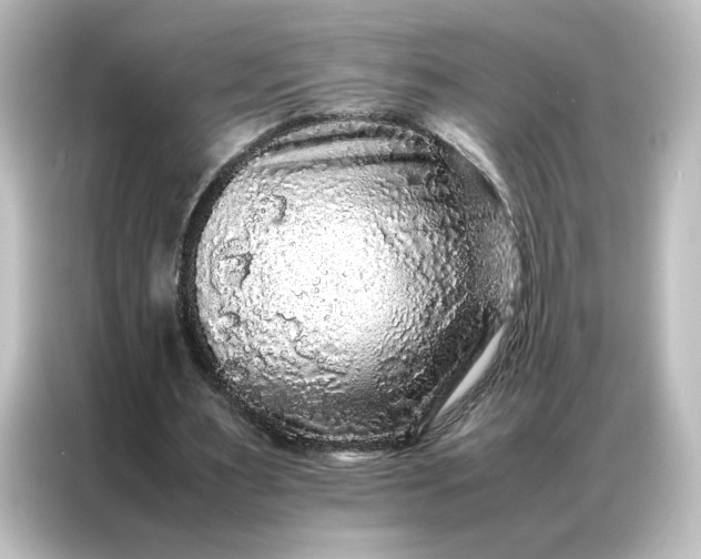 X0000087060483200705021220