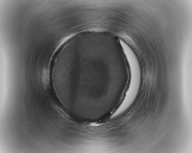 X0000087060484200705021219