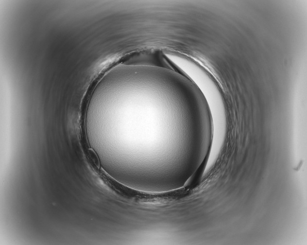 X0000087060485200705021219