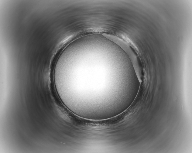 X0000087060486200705021219