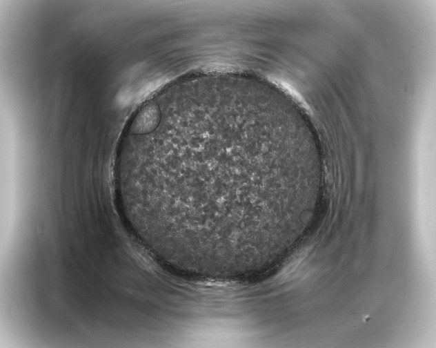 X0000087060487200705021219