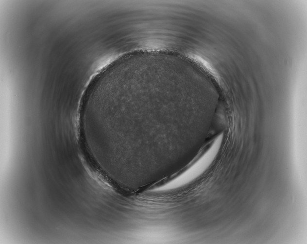 X0000087060488200705021219