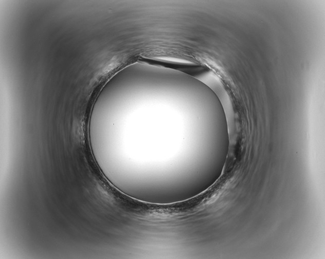 X0000087060489200705021219