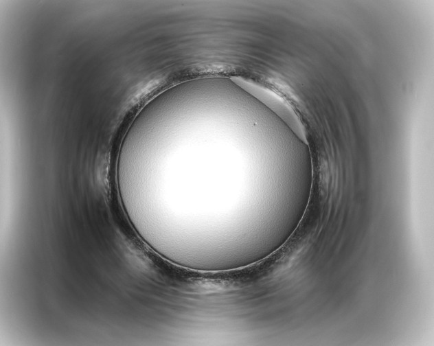 X0000087060490200705021219