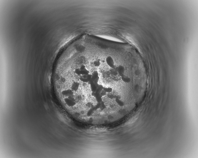 X0000087060491200705021219