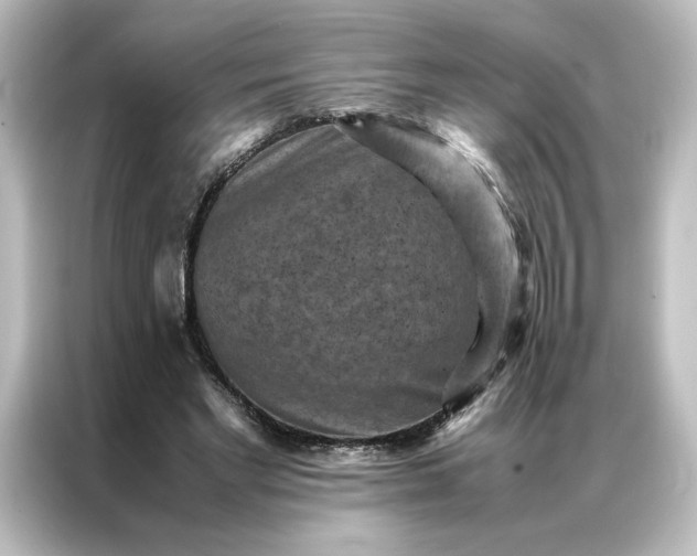 X0000087060493200705021219