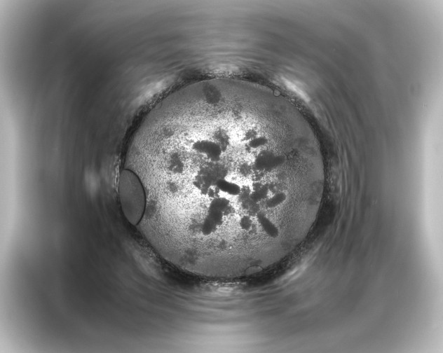 X0000087060495200705021219