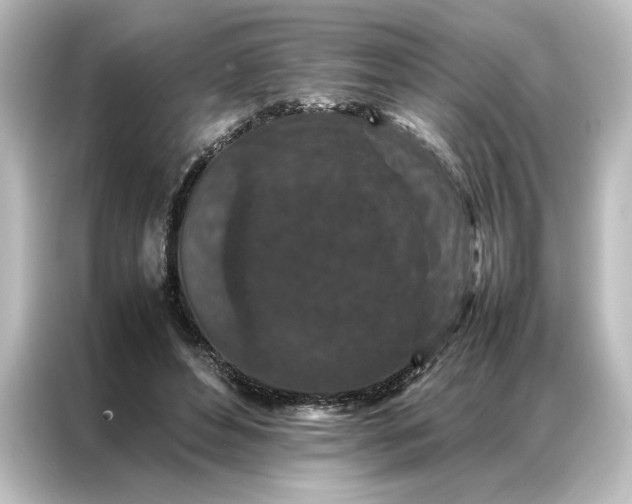 X0000087060496200705021219