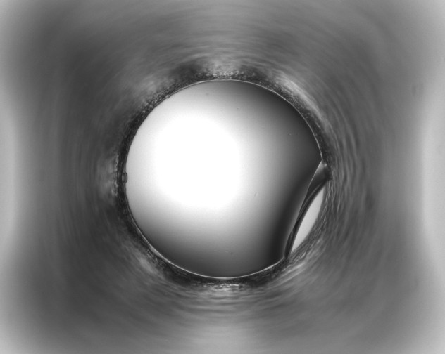 X0000087060497200705021219