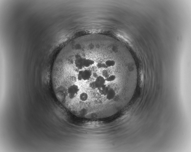 X0000087060499200705021219