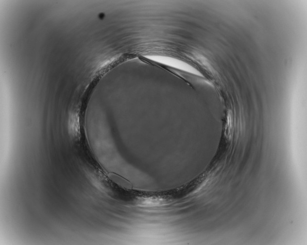 X0000087060500200705021219