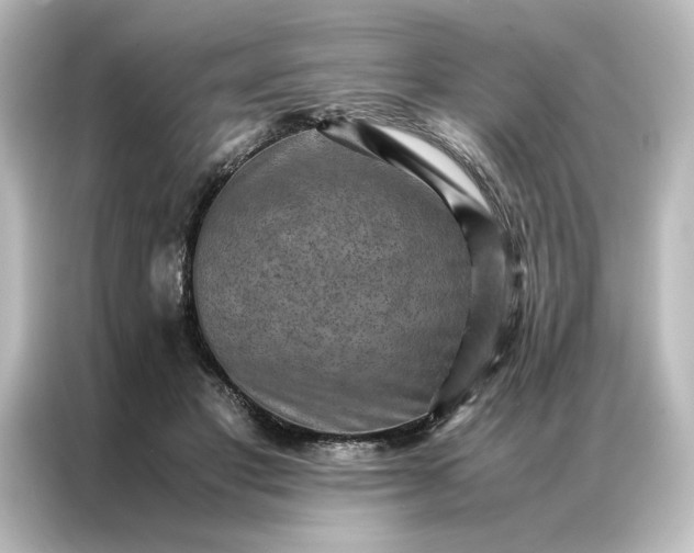 X0000087060501200705021219