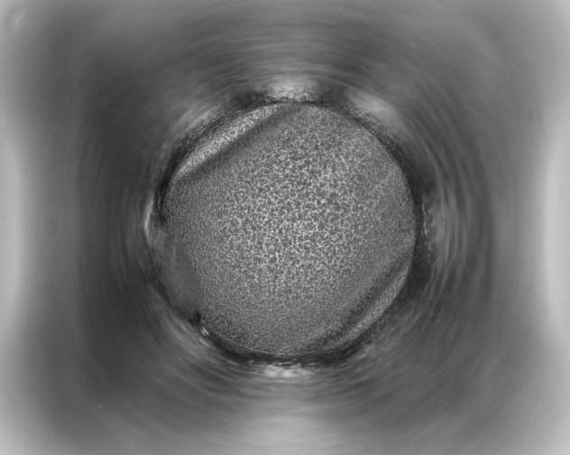 X0000087060502200705021219